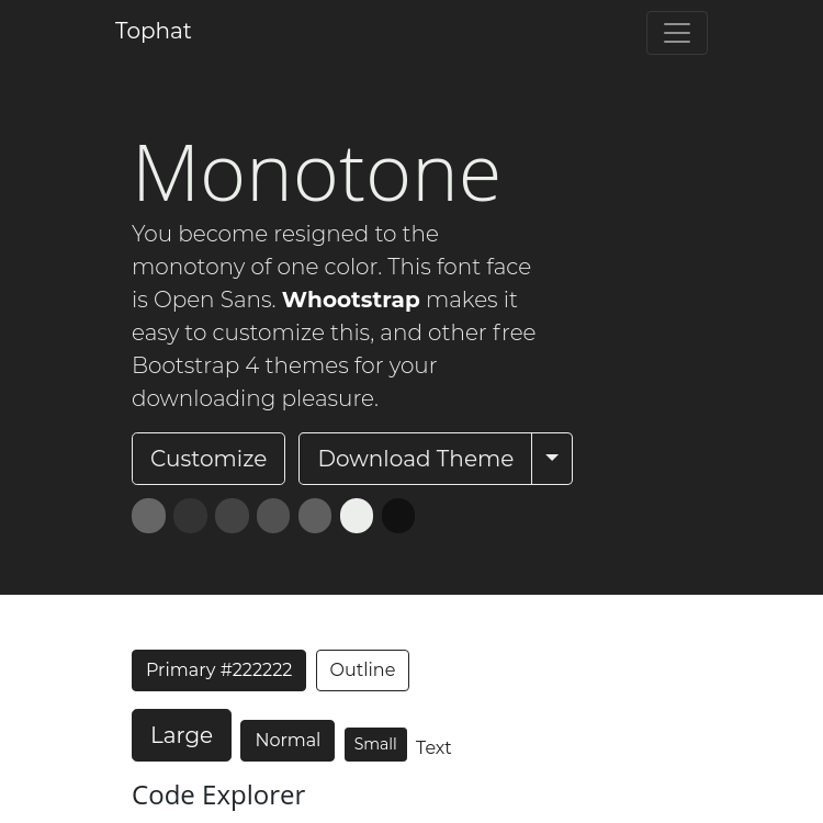 Screenshot Monotone
